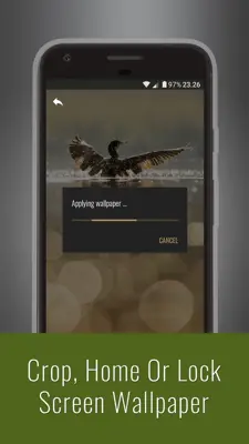 Animals Wallpapers android App screenshot 1