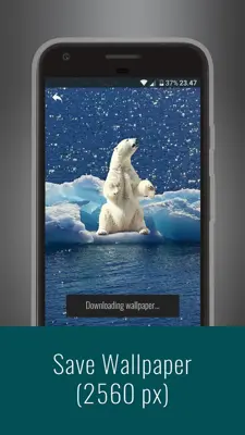 Animals Wallpapers android App screenshot 4