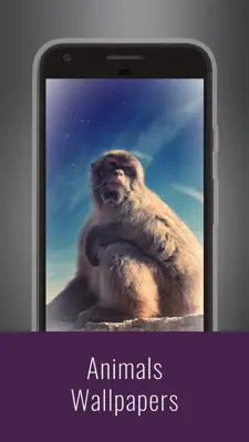 Animals Wallpapers android App screenshot 7